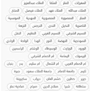 دينا نقل عفش شمال الرياض