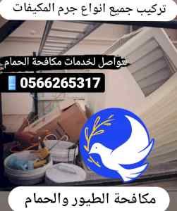 شركة تركيب مانع الطيور بالمدينة المنورة