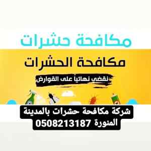 شركة رش الدفان بالمدينة المنورة