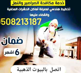 شركة مكافحة القوارض بالمدينة المنورة