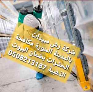 شركة رش الحشرات بالمدينة المنورة