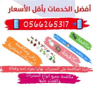 شركة رش الوزغ بالمدينة المنورة