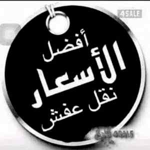 نجار //فك //وتركيب //حي //الياسمين