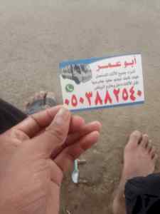 دينا نقل عفش حي الرمال