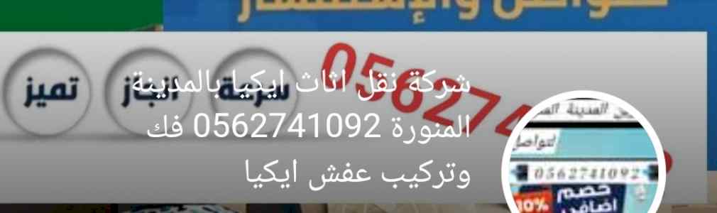 شركة مكافحة الوزغ بالمدينة المنورة