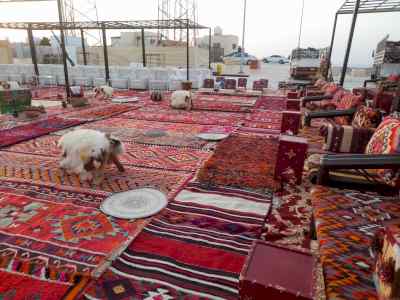 تأجير كنب جلد ابيض ,كراسي فندقية , طاولات