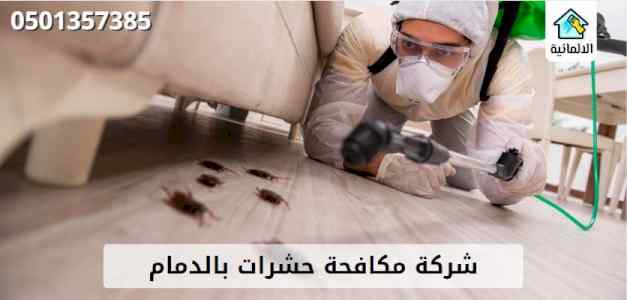خدمة مكافحة الحشرات - شركة الالمانية بالدمام