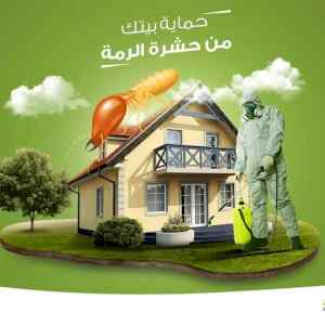 شركة تركيب طارد الحمام بالدمام - الالمانية