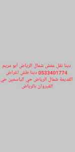 دينا طش اغراض القديمة حي الندوة