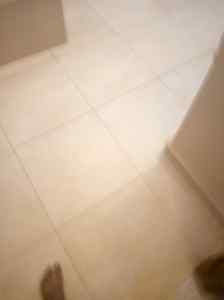 دينا طش اغراض القديمة حي الندوة