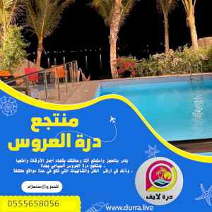درة-العروس ايجار فلل وشاليهات مباشرة للشاطئ