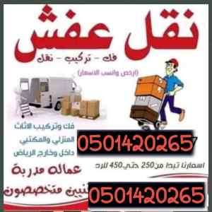 دينا طش تخلص رمي الاغراض القديمه
