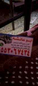 نجار فك و تركيب حي إشبيلية