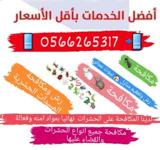 شركة مكافحة رش مبيدات عقارب بالمدينة المنورة