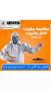 شركة مكافحة عقارب بالمدينة المنورة
