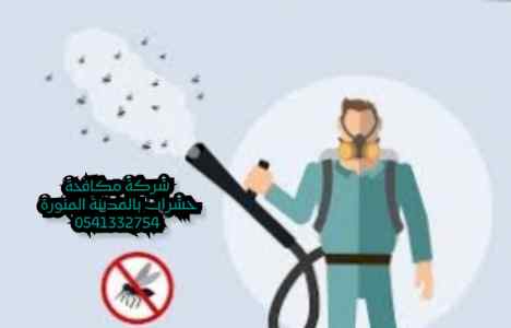 شركة مكافحة حشرات ورش مبيدات بالمدينة المنورة