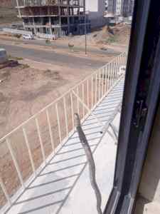خدمات حداد_المدينة#المنورة@
