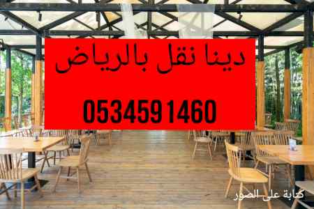 دينا نقل عفش بضائعحي العزيزية