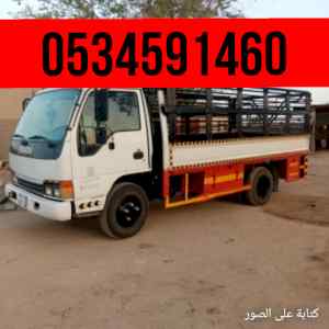 دينا نقل المستودعات بالرياضعفش