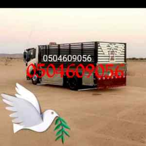 طش رمي اثاث قديم بالرياض