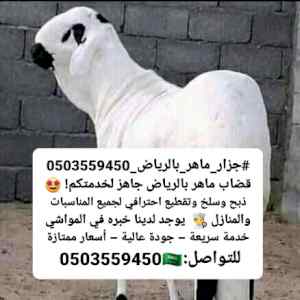 رقم جزار مواشي ذباح وسلخ خ بالرياض