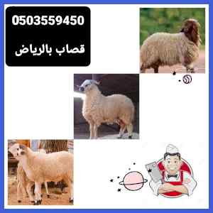ذباح ماهر بالرياض 0َجزار قصاب جنوب