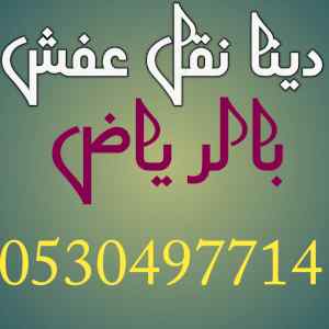 دينا نقل عفش حي قرطبه
