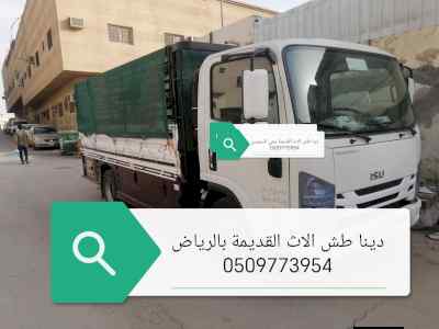 دينا طش الأثاث