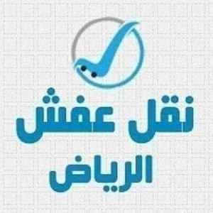 دينا طش الأثاث القديمة بحي الياسمين