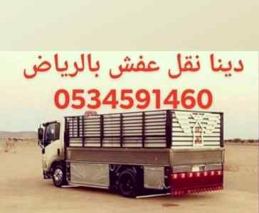 دينا نقل عفش حي المرسلات