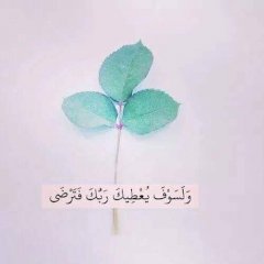 علي معلول